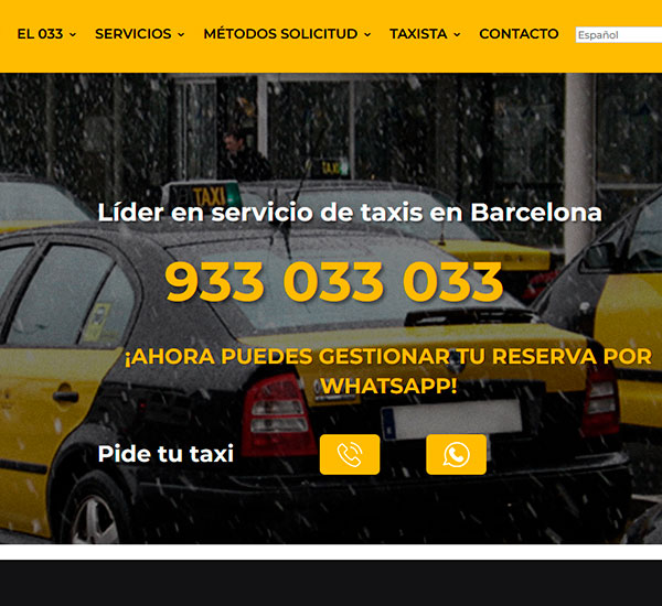 radio taxi 033 web